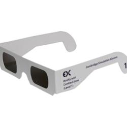 Cambridge simulation glasses