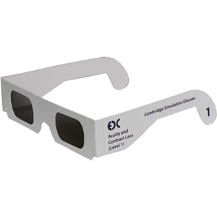 Cambridge simulation glasses